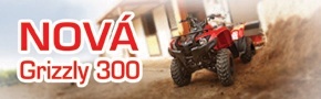 Grizzly 300