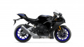R1M
