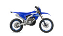 Icon Blue