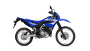 Icon Blue