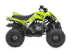 Acid Green