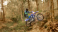 WR450F 2022