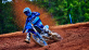 YZ250