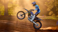 YZ250F MONSTER EDITION 2023
