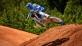 YZ250F MONSTER EDITION 2023