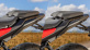 TRACER 7