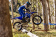 WR250F