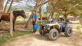 Kodiak 450 EPS Diff Lock SE ALU