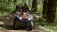 Grizzly 700 EPS