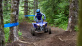 YFZ450R