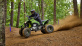 YFZ450R SE