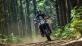 Ténéré 700 World Raid