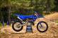 YZ250