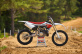 YZ250