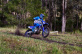 WR450F
