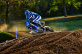 YZ250