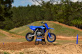 YZ65